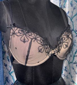 Sheer Embroidered Black Bra