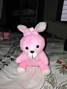 Cute Pink Teddy Bear with Bunny Ears