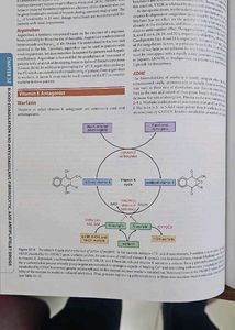 Goodman &amp; Gilman's Therapeutics