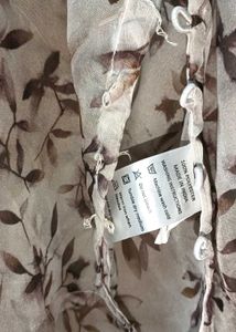Sheer Floral Print Blouse🍂
