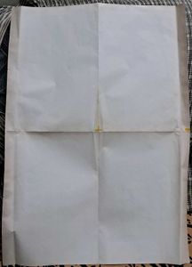 3Vintage Sportstar and Override Poster