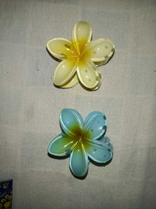 Flower Hair Clips (Set of 2)