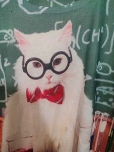 Cute Cat Graphic T-Shirt