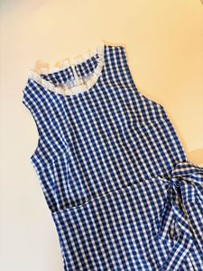 Savana Blue Gingham Dress(🚨Fixed Price)