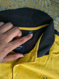 Allen Solly Polo T-Shirt