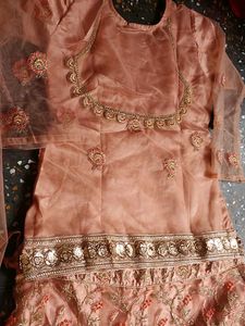 Bridal Peach Embroidered Lehenga Choli
