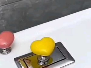 Decorative Cute Toilet Flush Push Button