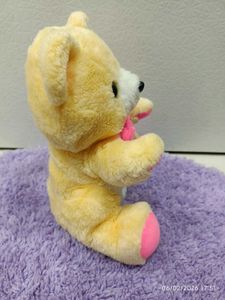 Adorable Plush Teddy Bear Toy
