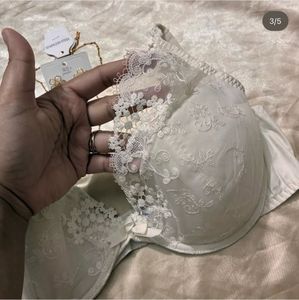 Elegant Lace Bra with Matching Jewelry Set