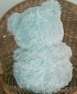 Taddy Bear