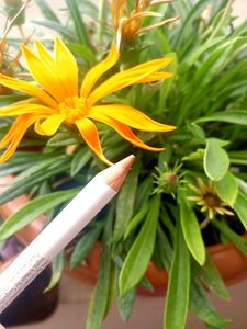 🆕Myglamm Gold Metallic Eyeliner Pencil