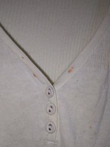 Women Sweatshirt