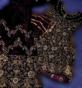 Embroidered zari heavy workVelvet