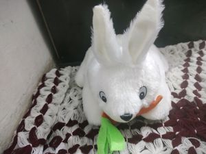Carrot Eating Rabbit Very Soft Teddy For Child