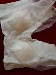 Sheer White blouse 👚