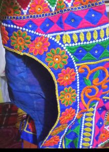 Vibrant Embroidered  Choli Set
