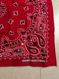 Paisley Bandana Set Red &amp; Blue