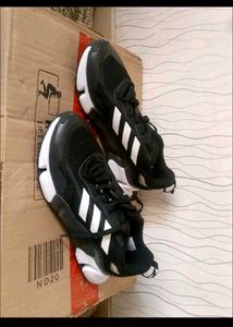 Adidas Running Shoe - Brand New