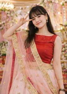 Gorgeous Indian Lehenga Choli