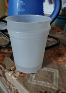Bajaj garment steamer and kettle