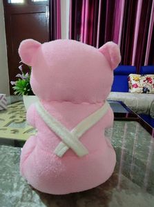 Teddy Bear With Pen Holder