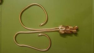 Gold Tone Snake Chain Necklace