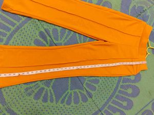 Daily wear trouser