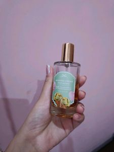 Muse Beauty Whipped Cream Pistachio