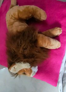 Lion Plush Toy