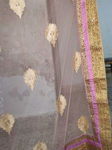 chaniya choli + saree