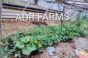 ADR FARMS Organic goat mannure Soil Mix