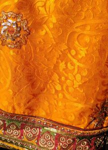Exquisite Orange Saree Intricate Embellishmen