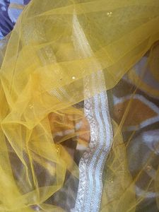 Net Dupatta