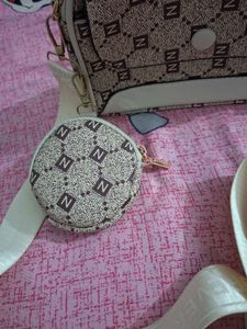 Chic Crossbody Bag Set