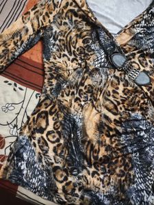 Leopard Print Long Sleeves dress