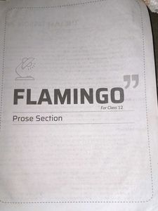 Flamingo &amp; Vistas Supplementary Reader