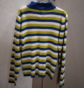 Striped Knit Turtleneck Sweater