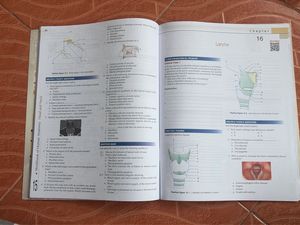 BD Chaurasia’s Human Anatomy Book Bundle