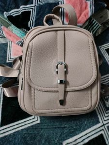 Chic Blush Backpack