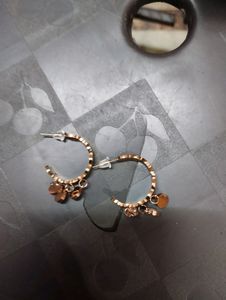 Anti Ternish Earings