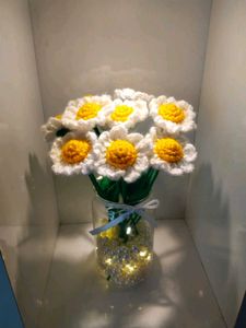 1 daisy for 99 rupees only 🌼