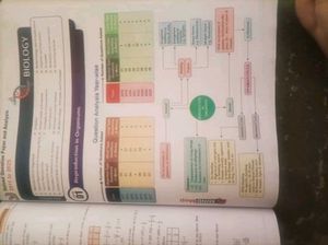 Bihar Board Class 12 Question Bank 2026 |