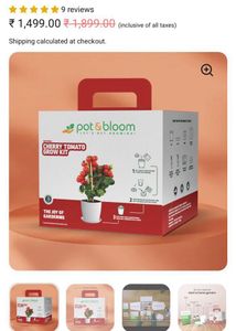 Pot & Bloom Cherry Tomato Kit