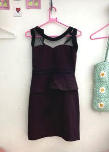 Stylish Net Neck Bodycon Dress