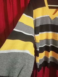 Brand New V-Neck Sweater