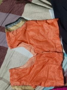 Orange Saree with Embellished Border