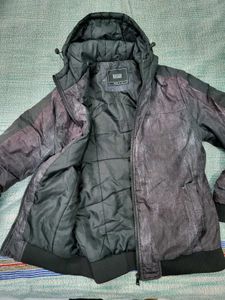Men's Insulated Hooded Jacket