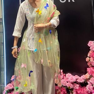 Beautiful Butterfly Embellished Dupatta