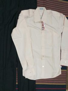 Men's Formal shirt with pant