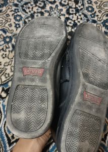 Levis Shoes (Authentic)